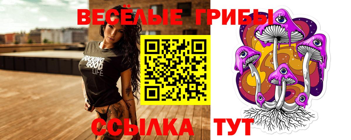 Отрадный  Псилоцибиновые грибы Magic Shrooms  Вход с VPN  Псилоцибиновые грибы Psilocybe 